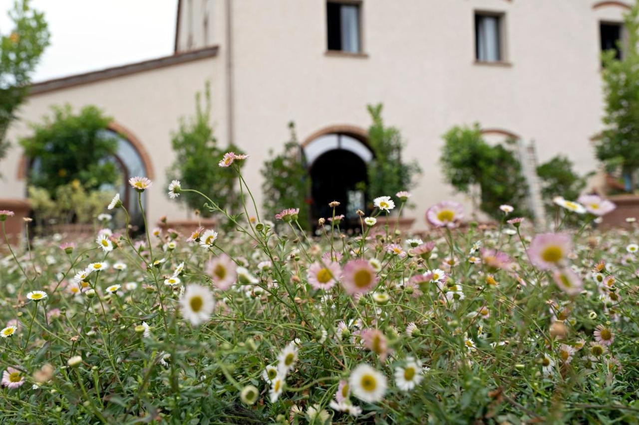 Paradis Agricole Pietrasanta Exteriér fotografie